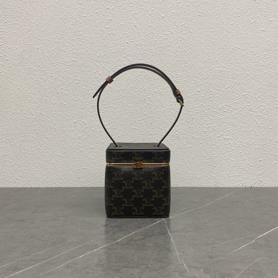Celine TRIOMPHE FRAME Printed Leather Box Bag 124232