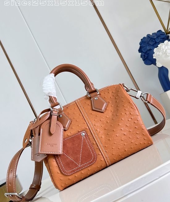 Louis Vuitton LV Speedy Bandoulière 25 Handbag M89119