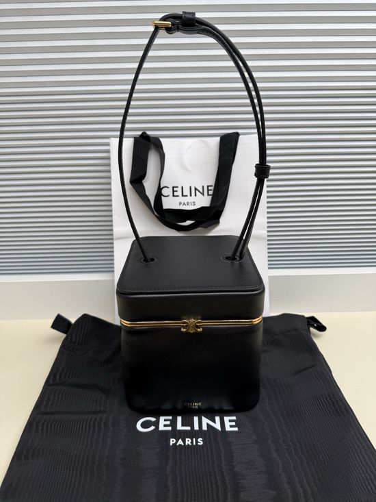 Celine TRIOMPHE FRAME Leather Handbag Gold Lock 124232