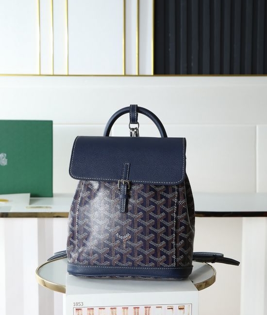 Goyard Aln Mini Backpack Multi Functional 020194
