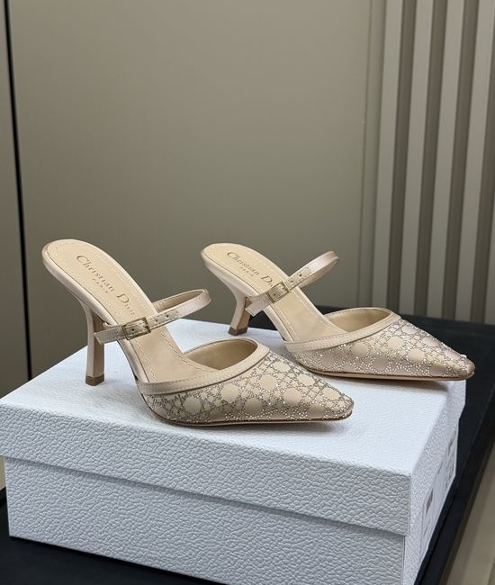 Christian Dior CD Rhinestone Decor Silk Upper Shoes With Leather Sole