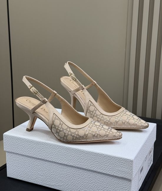 Christian Dior CD Rhinestone Decor Silk Upper Shoes With Leather Sole