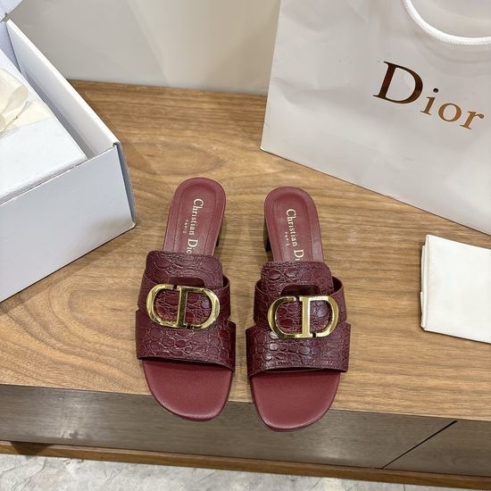 Christian Dior CD Elegant Cut-out High-heeled Shoes
