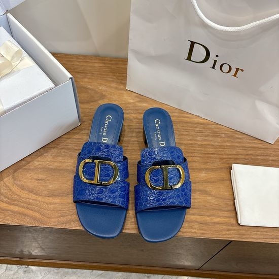 Christian Dior CD Elegant Cut-out High-heeled Shoes