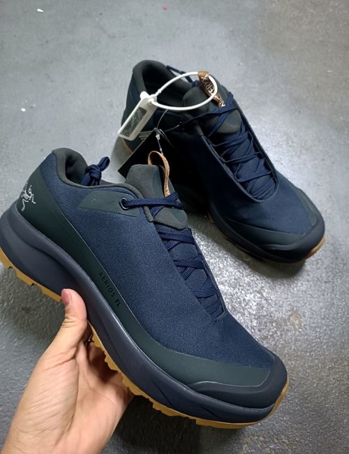 ArcTeryx Aerios Fl Gtx Waterproof Low Hiking Shoes