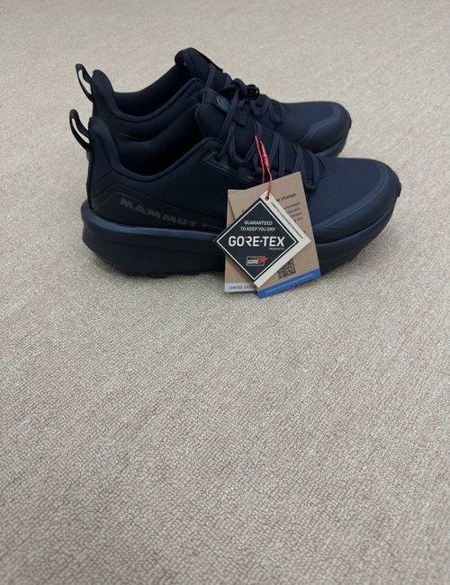 Mammut Aenergy GTX Hiking Shoes