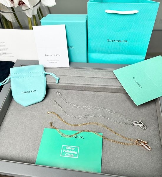 Tiffany & Co. Edgy Chain Link Stylish Necklace