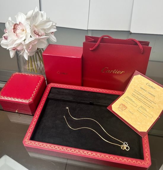 Cartier Detachable Pendant Double Chain Necklace