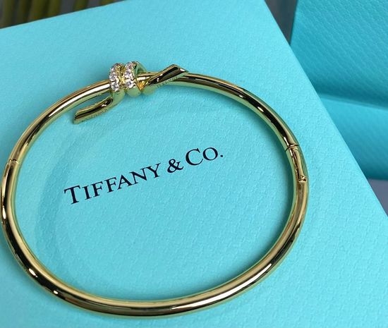 Tiffany & Co. Minimalist Knot Design Earrings