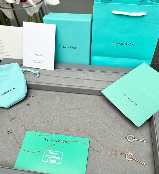 Tiffany & Co. Modern Oval Hollow Diamond Key Necklace