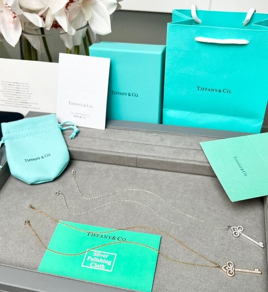 Tiffany & Co. Classic Fleur de Lis Key Necklace