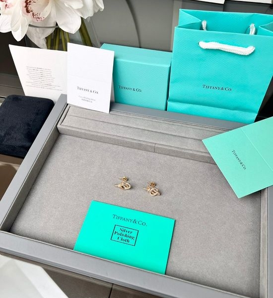 Tiffany & Co. Woven Rope Pattern Diamond Key Earrings