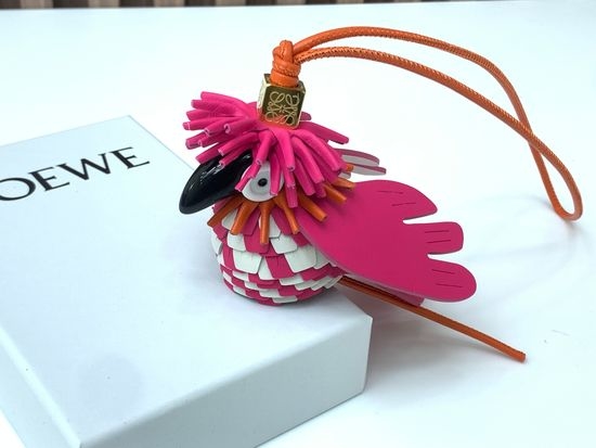 Loewe Exotic Bird Brooch Accessory