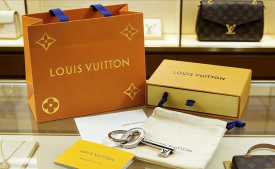 Louis Vuitton LV Polished Letter Keychain Bag Accessory