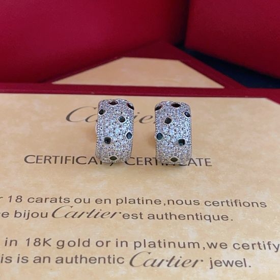 Cartier Unique Pattern Silver Stud Earrings