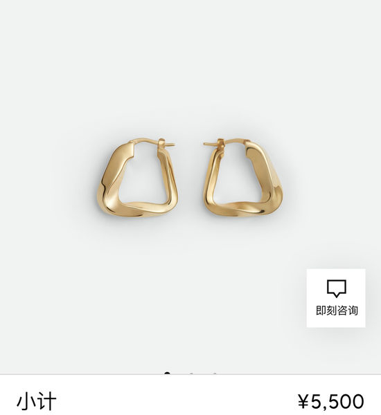 Bottega Veneta BV Unique Triangular Shaped Fashion Earrings