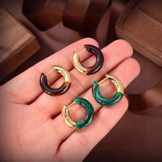 Bottega Veneta BV Resin Stud Earrings Unique Design