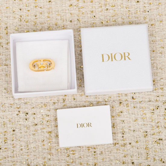 Christian Dior CD Classic Exquisite Delicate Brooch