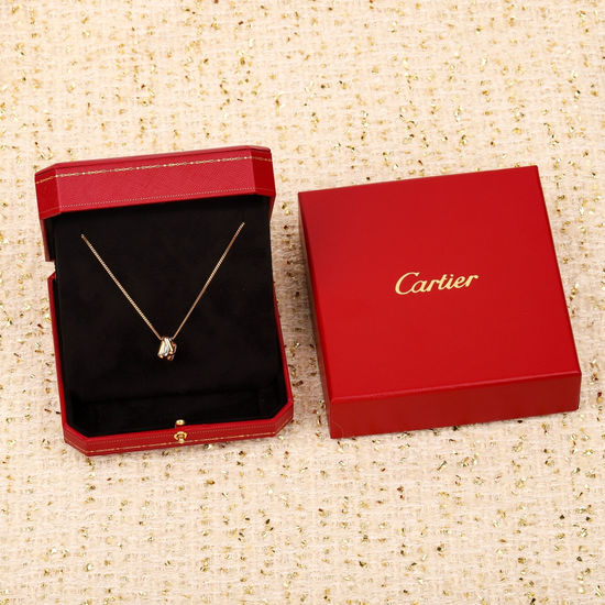 Cartier Elegant Three Color Intertwined Necklace