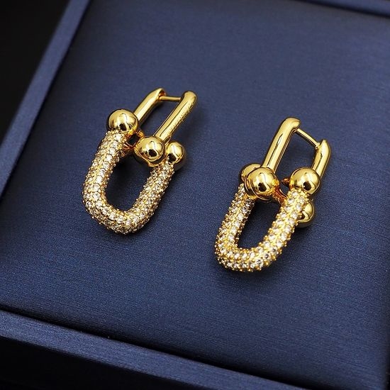 Tiffany & Co. Bold Chain Link Earrings