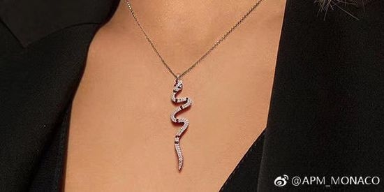 Apm monaco Snake Shape Necklace And Earring Set
