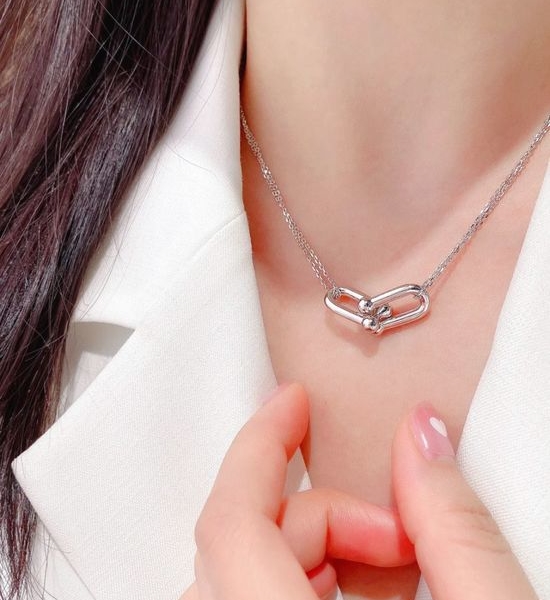 Tiffany & Co. Smooth Horseshoe Buckle Double Ring Necklace