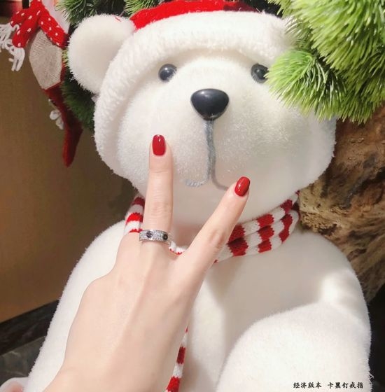 Cartier Full Diamond Studded Ring
