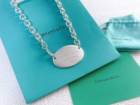 Tiffany & Co. Thick Chain Pendant Punk Necklace
