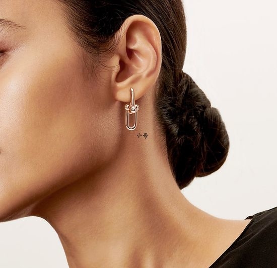 Tiffany & Co. Double Ring Horseshoe Buckle Hoop Earrings