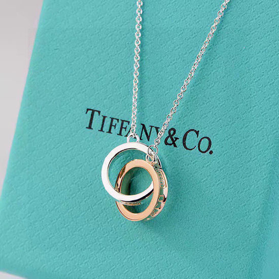 Tiffany & Co. Sterling Silver Double Circle Pendant Necklace