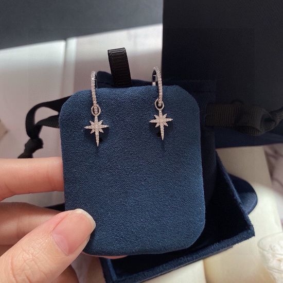 Apm monaco Starry Night Earrings with Elongated Design