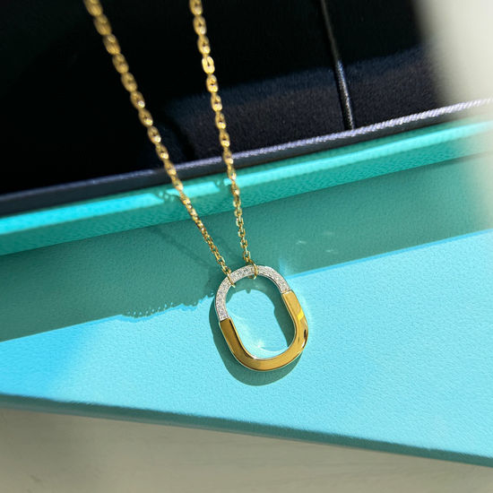 Tiffany & Co. Two Tone Half Diamond U Lock Necklace