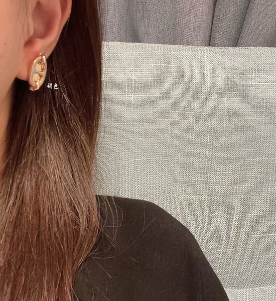 Hermes Brown Classic Exquisite Earrings