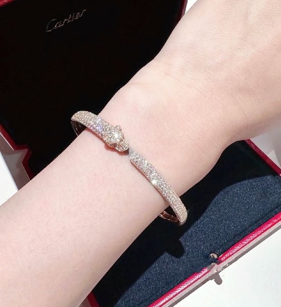 Cartier Luxury Half Diamond Bangle