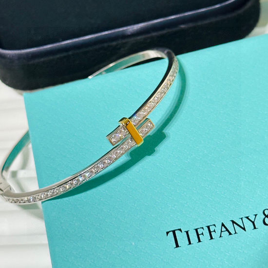 Tiffany & Co. Two Tone Row Diamond Bangle