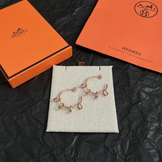 Hermes Delicate Earrings with Noble Elegance