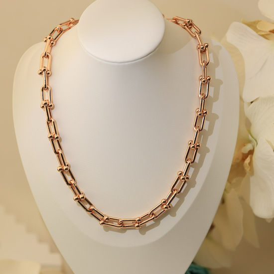 Tiffany & Co. Minimalist Metal Link Chain Necklace