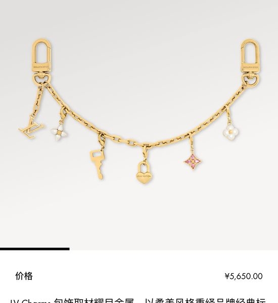 Louis Vuitton LV Exquisite Flower Bag Chain with Fine Craftsmanship
