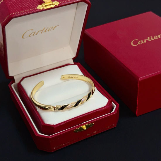 Cartier Leopard Head Diamond Inlaid Bangle