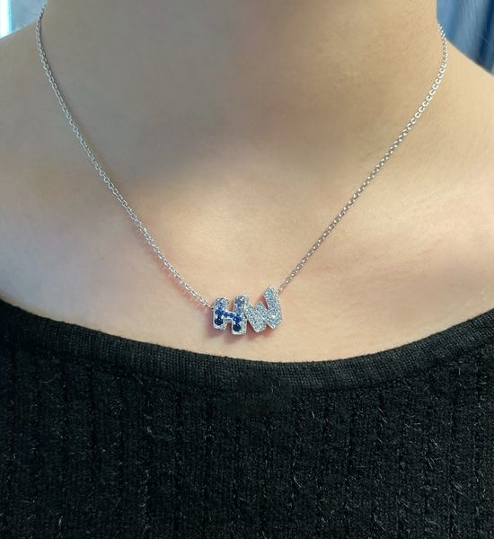 Harry Winston Gradient Blue Diamond Pendant Necklace