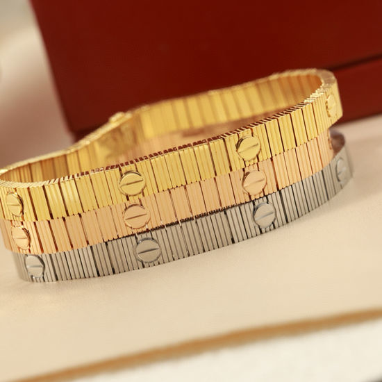 Cartier Soft Snake Chain Bracelet Gold Plated
