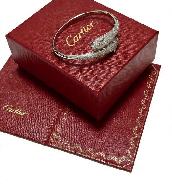 Cartier Luxury Delicate Chain Bracelet