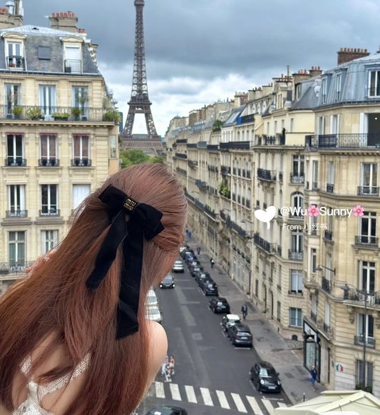 Miu Miu Elegant Hair Clip Premium Quality