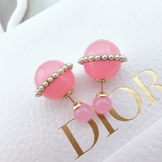 Christian Dior CD New Letter Metal Texture Fashion Earrings