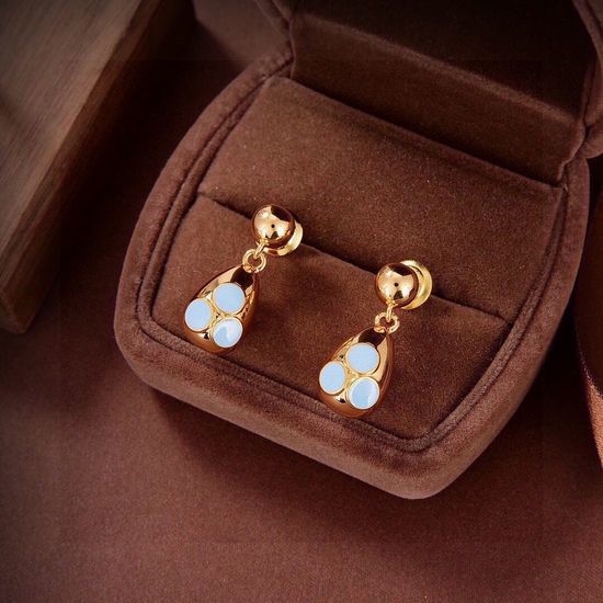 Bottega Veneta BV Unique Design Fashion Earrings