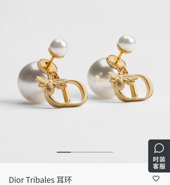 Christian Dior CD Trendy Metallic Letter Fashion Earrings