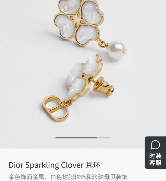 Christian Dior CD Fashion Metal Letter Dangle Earrings