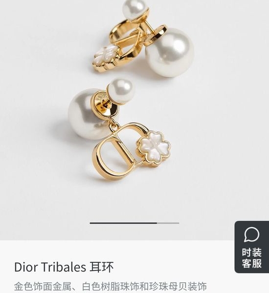 Christian Dior CD Bowknot Stud Earrings Premium Brass Material