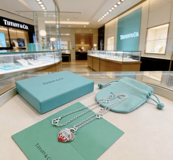 Tiffany & Co. Classic Punk Style All-match Necklace